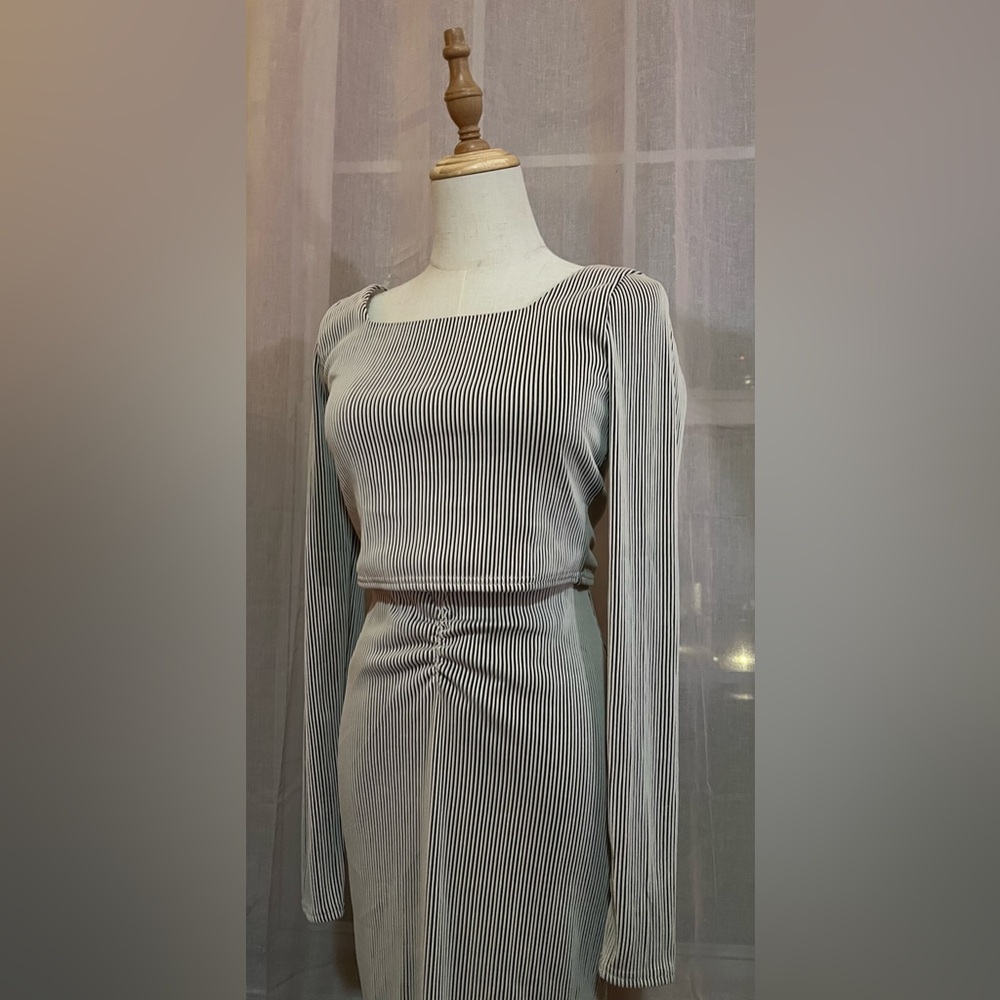 Pinstriped 2 piece skirt set
